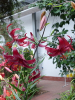 Foto: Dr. Peter Müller